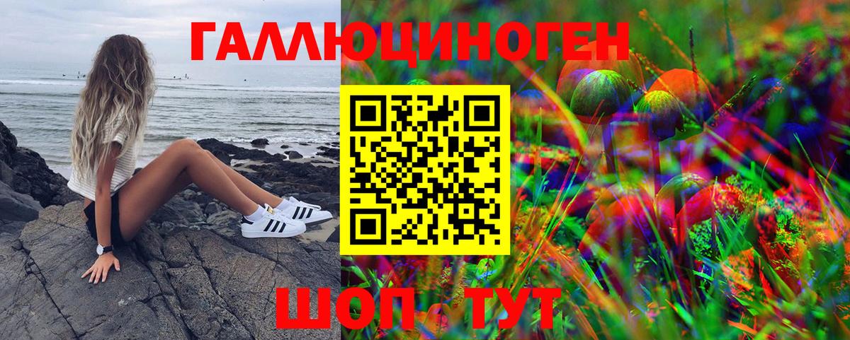 Псилоцибиновые грибы GOLDEN TEACHER  Вход с VPN  Сосновый Бор 