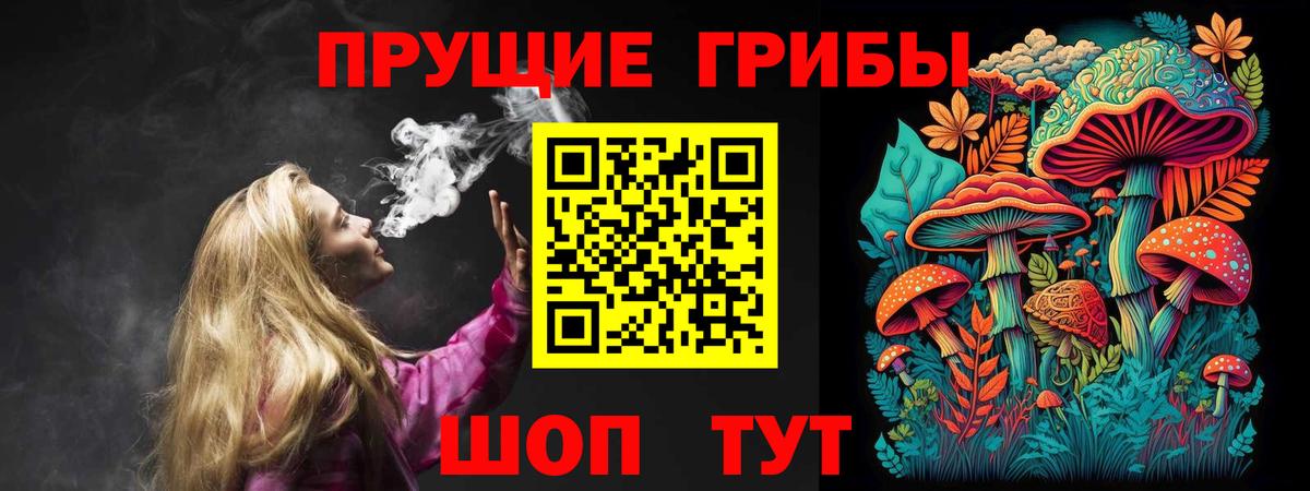 Галлюциногенные грибы GOLDEN TEACHER Сосновый Бор